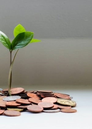 246cf93085e3a773dd482321d6450e14