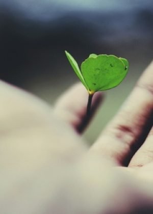 99d150a91ad59202ff8bcc21fe783bd2